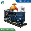 Biogas Generator Set for Gas Utilization 20kw-200kw